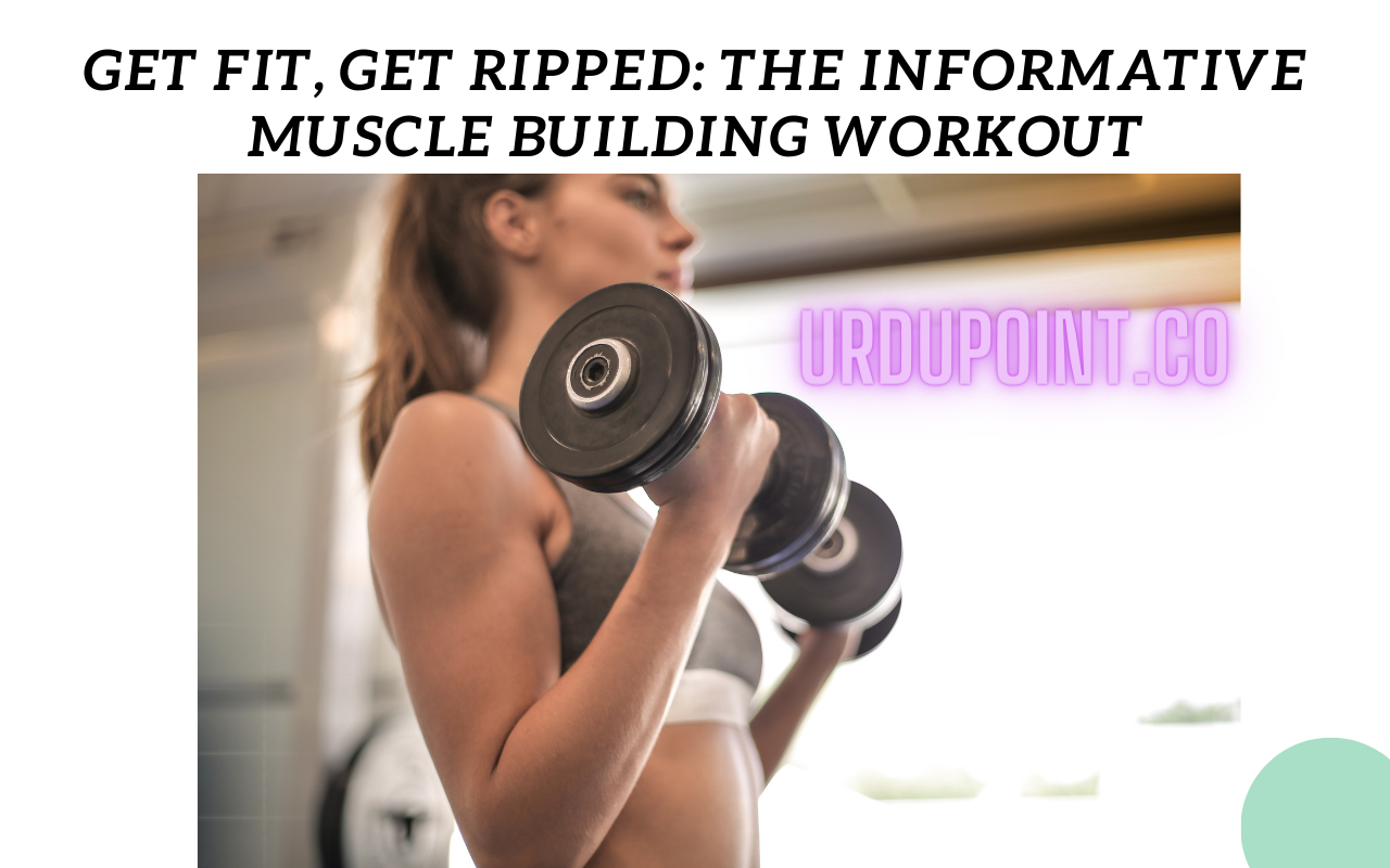 Get Fit, Get Ripped: The Informative Muscle Building Workout