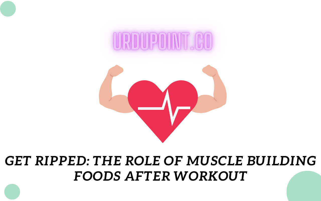 Get Ripped: The Role of Muscle Building Foods After Workout