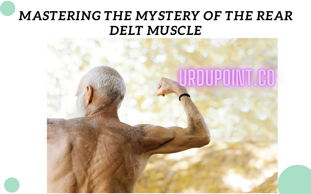 Mastering the Mystery of the Rear Delt Muscle